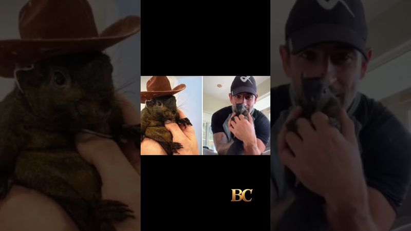 Peanut the Squirrel’s Owners Seek $10M Over Death of ‘Irreplaceable’ Animal