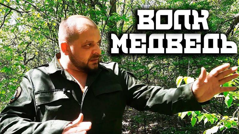 Как обороняться от хищников в дикой природе