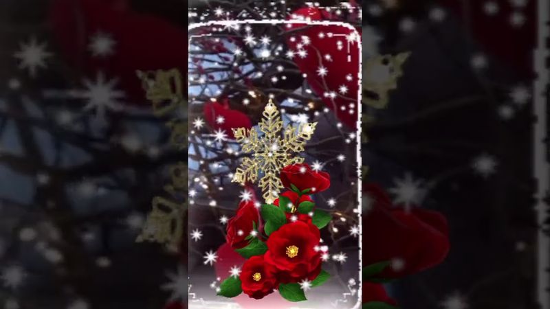 5 января 2026 г.