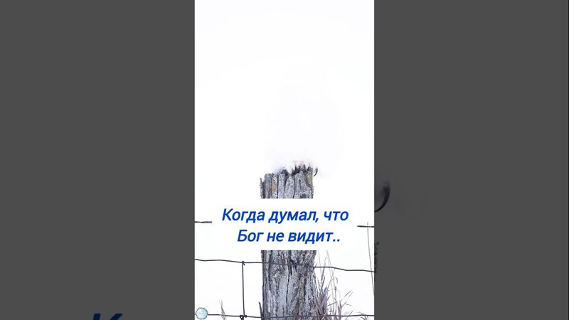 Если ты не видишь, это не значит, что не видят тебя..