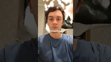 DIMAVIPER ИИ ЖЕНИХ