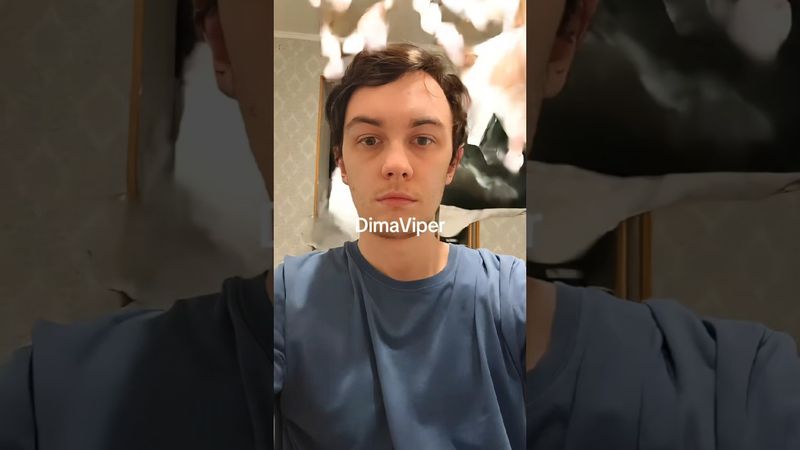 DIMAVIPER ИИ ЖЕНИХ