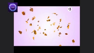 Марафон всех СОР. ТВ3