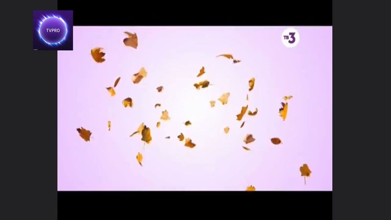 Марафон всех СОР. ТВ3