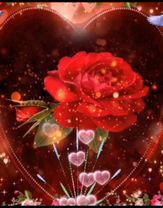 TikTok video #7040702071686909185