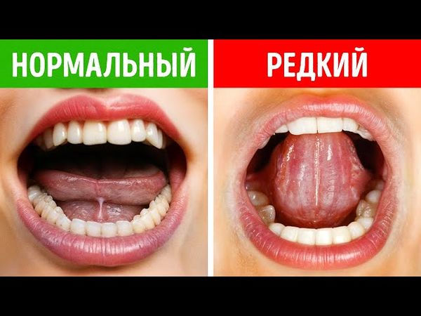 200+ фактов обо всём на свете, которые не дадут вам скучать