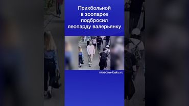 Психбольной в зоопарке подбросил леопарду валерьянку