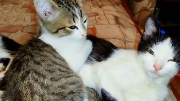 #Славянск. 13 октября 2025г. Вечер.