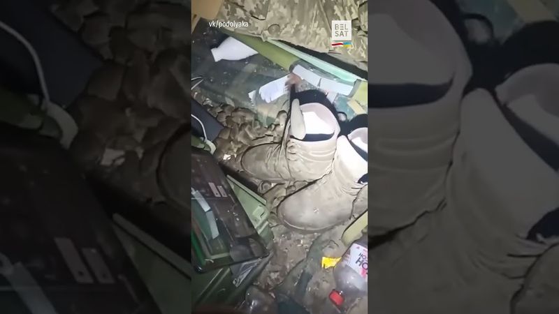 Нашествие мышей в окопах россиян и украинцев #shorts