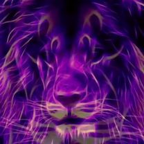 #цитаты #рекомендации #рек #лайк #подпишись #спасибо