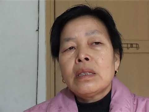 天堂花园 Garden in Heaven 艾晓明 胡杰 Ai Xiaoming, Hu Jie (2017) (English subtitles)