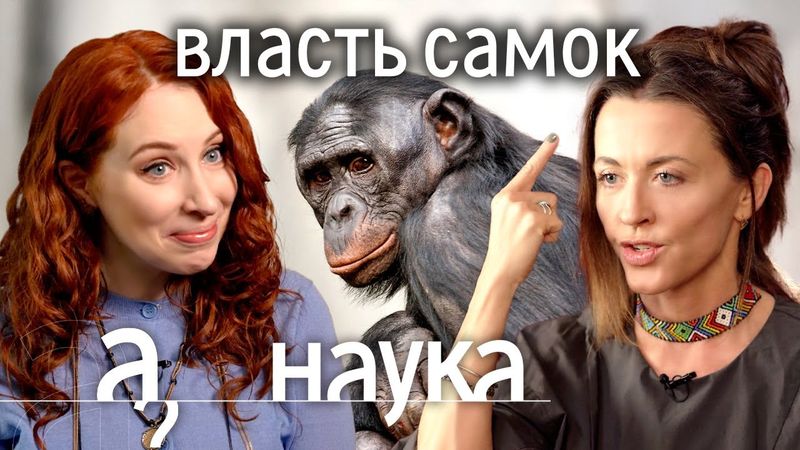 Самки рулят этим миром? Евгения Тимонова про женское доминирование в природе / Наука. А поговорить?