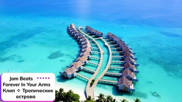 Jam Beats ⎪ Forever In Your Arms ✧ Клип