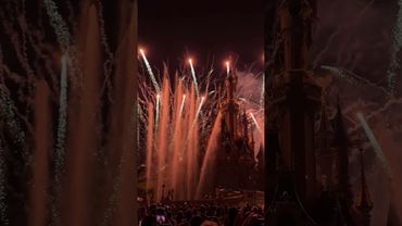 Disneyland / The end