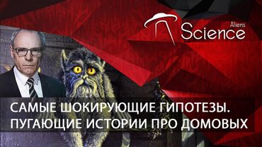 Пугающие истории про домовых. Самые шокирующие гипотезы | Документальный фильм