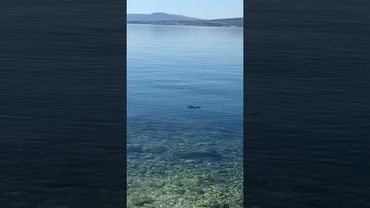 Nema kupanja ovog ljeta 😱😱😱