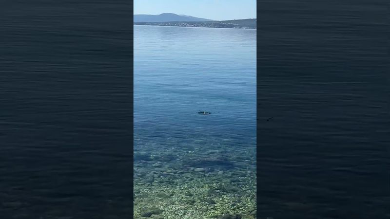 Nema kupanja ovog ljeta 😱😱😱