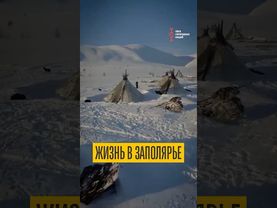 Как живут народы Арктики