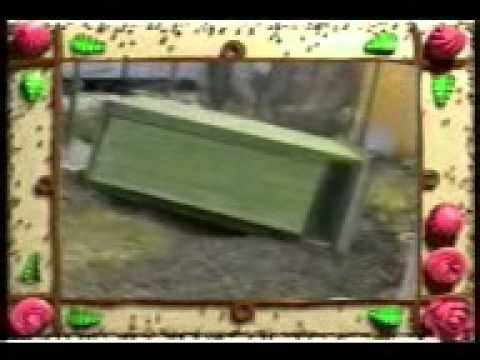 Сам себе режиссёр - туалет! :)