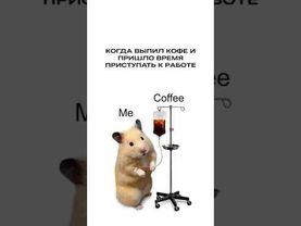 Жиза проектировщиков