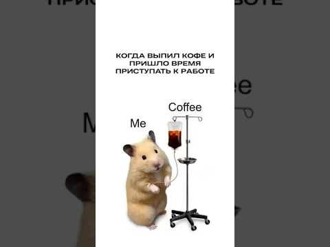 Жиза проектировщиков