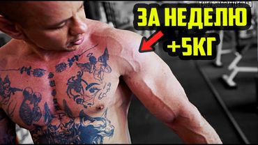Вернули мышцы за неделю | Руки +2см, вес +5кг. Димону дали микрофон - начали сухой набор