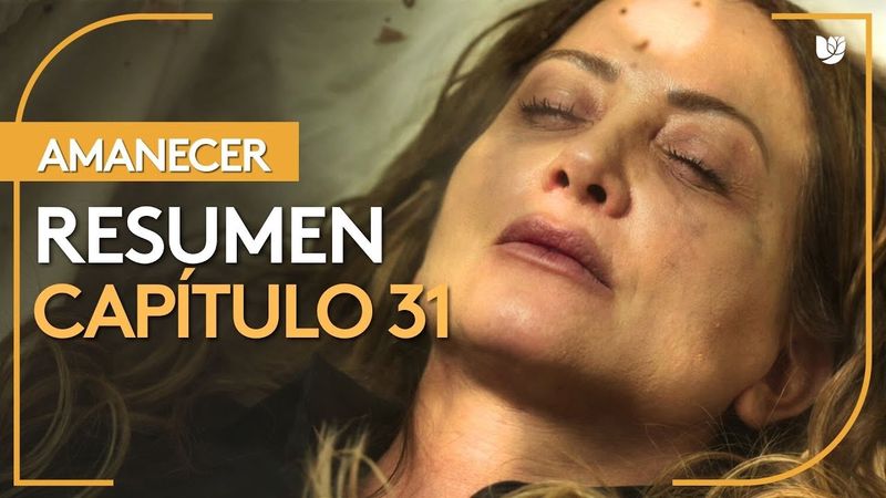 Amanecer | Capítulo 31 - Resumen