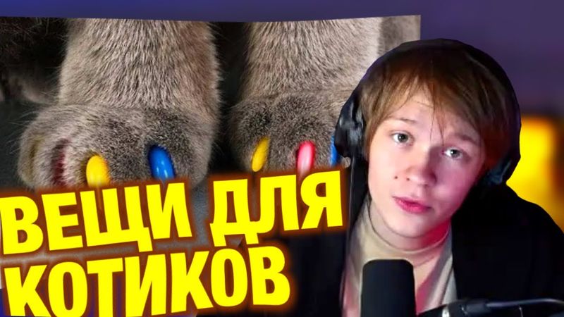 ДИПИНС СМОТРИТ: «50 Вещей Для Кошек с Aliexpress, От Которых Ты Офигеешь» | Alex Vikodinov