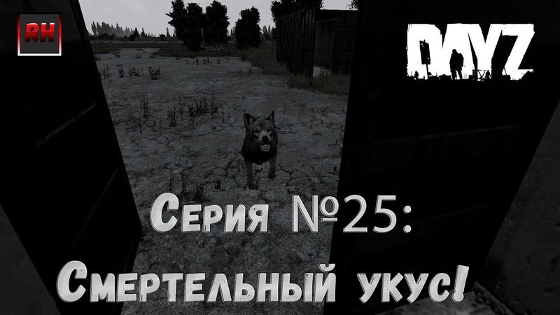 Dayz Standalone. Выживание. (Серия №25 - Смертельный укус!)