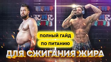 Гайд по питанию: Как сжечь жир, не голодая | Система ДНК