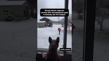 Свой дом — отличная возможность осуществить мечту детства и завести четвероногих друзей😍