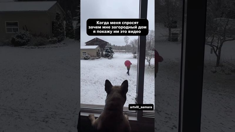 Свой дом — отличная возможность осуществить мечту детства и завести четвероногих друзей😍