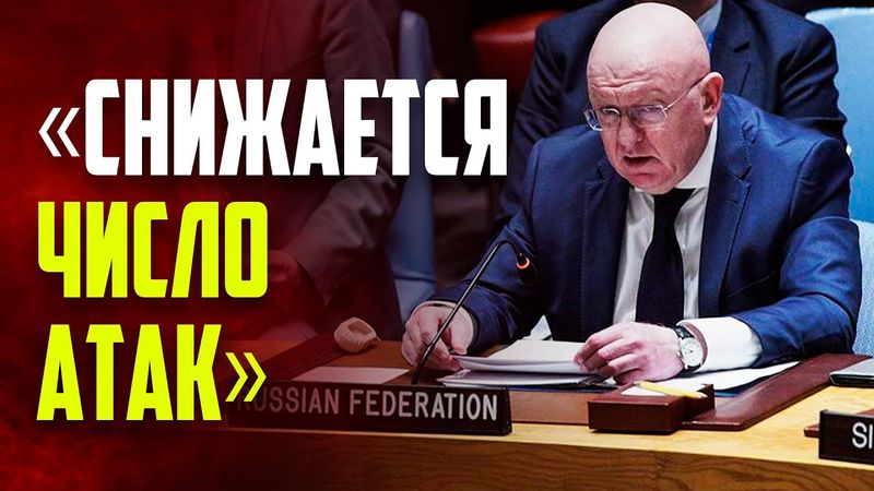 Выступление Василия Небензи на заседании Совета Безопасности ООН по ситуации в Ираке