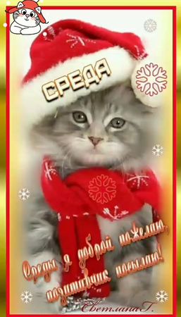 #С Добрым Прекрасным Утром Среды Друзья!Чудесного Зимнего Дня!💃💃💃💃💃