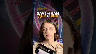 ДНК и РНК. Зачем они нам? Как работают? #происхождениежизни