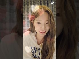 Lesserafilm Chaewon,Kazuha and Yunjin Weverse Live Today May 19, 2025