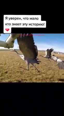 Потрясающие съемки