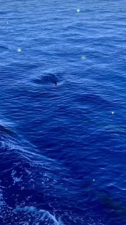 #словапролюбовь #тапайпокупай #СберТанцы