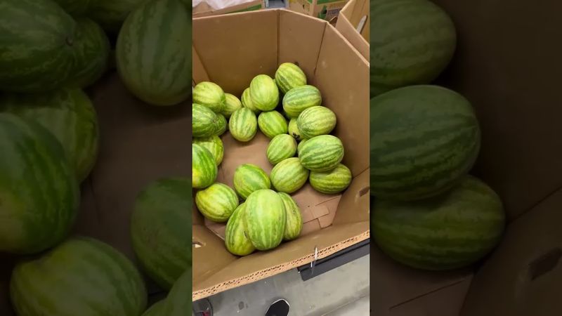 Херсонские арбузы в США