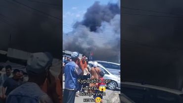 куршабта ОРТ чыкты 🥺🥺