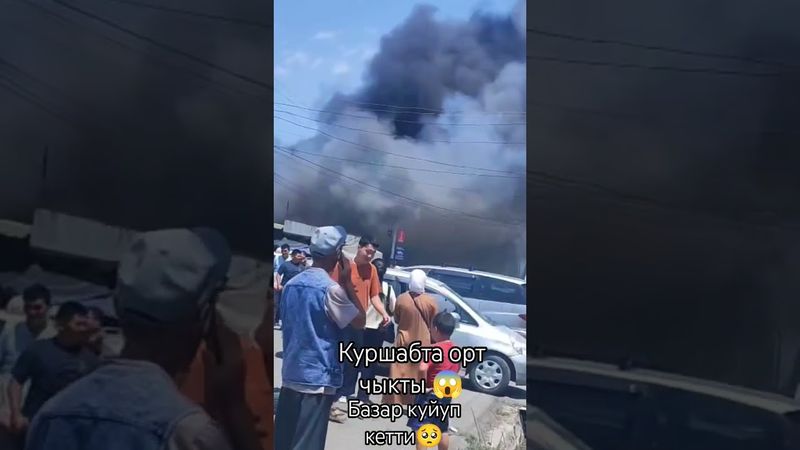 куршабта ОРТ чыкты 🥺🥺