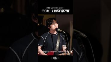 일본 청춘 만화 그 자체인 10CM의 너에게 닿기를