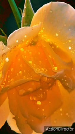 #ЧиткодАльфаКапитал #доброеутро #