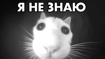 Я НЕ ЗНАЮ ЧТО ХОЧУ СКАЗАТЬ
