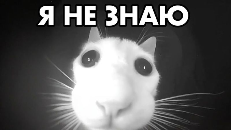 Я НЕ ЗНАЮ ЧТО ХОЧУ СКАЗАТЬ