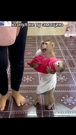 TikTok video #7564272490931850517