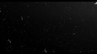 Dust grunge overlay video effect pulse free download