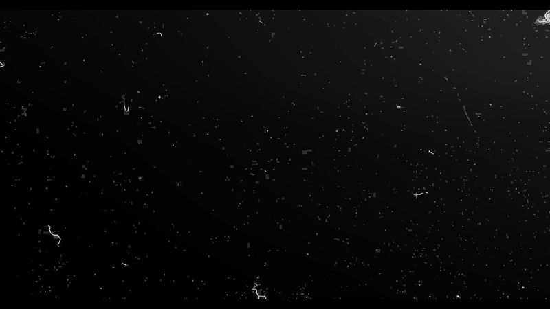 Dust grunge overlay video effect pulse free download