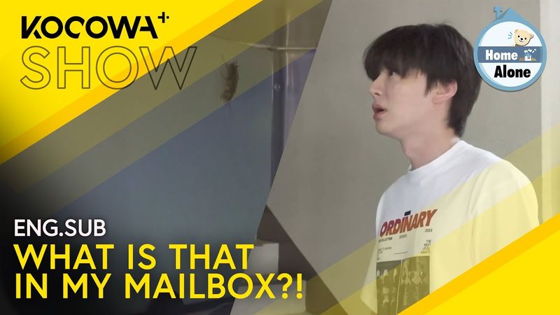 Ahn Jae Hyeon Gets A Scary Surprise While Getting Mail 😨 | Home Alone EP601 | KOCOWA+