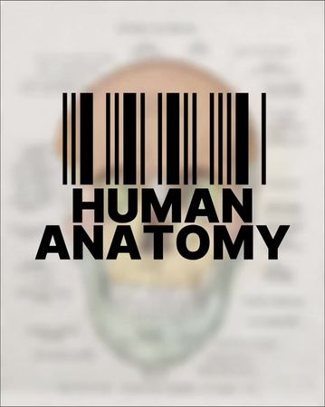 #human #anatomy #edit #nervoussystem #skeleton 